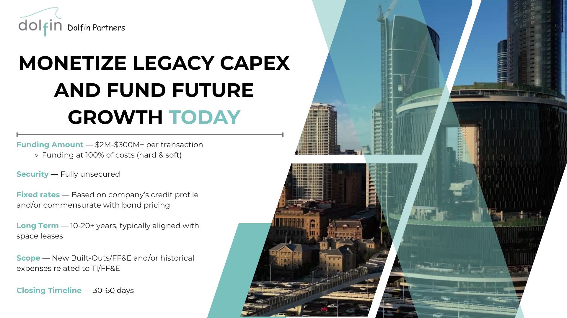 Dolfin Ad Collateral